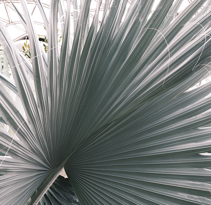 Jessie Chung — 01